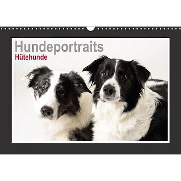 Hundeportraits - Hütehunde (Wandkalender 2015 DIN A3 quer), Jasmin Hahn