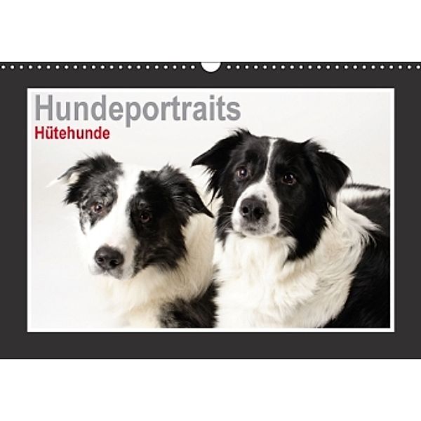 Hundeportraits - Hütehunde (Wandkalender 2016 DIN A3 quer), Jasmin Hahn