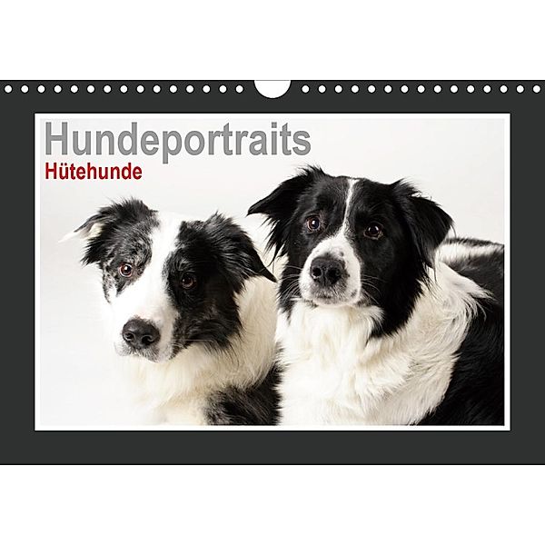 Hundeportraits - Hütehunde (Wandkalender 2020 DIN A4 quer), Jasmin Hahn