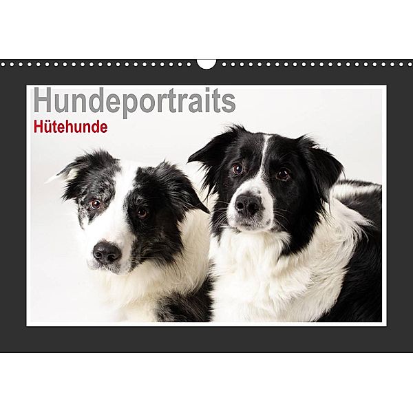 Hundeportraits - Hütehunde (Wandkalender 2022 DIN A3 quer), Jasmin Hahn