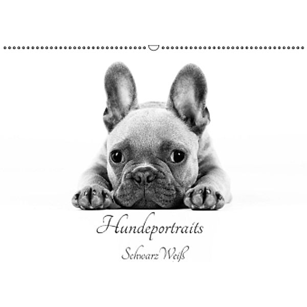 Hundeportraits SchwarzWeiß (Wandkalender 2016 DIN A2 quer), Damir Susak