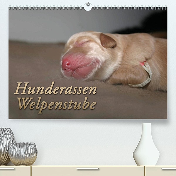 Hunderassen - Welpenstube(Premium, hochwertiger DIN A2 Wandkalender 2020, Kunstdruck in Hochglanz), Barbara Mielewczyk