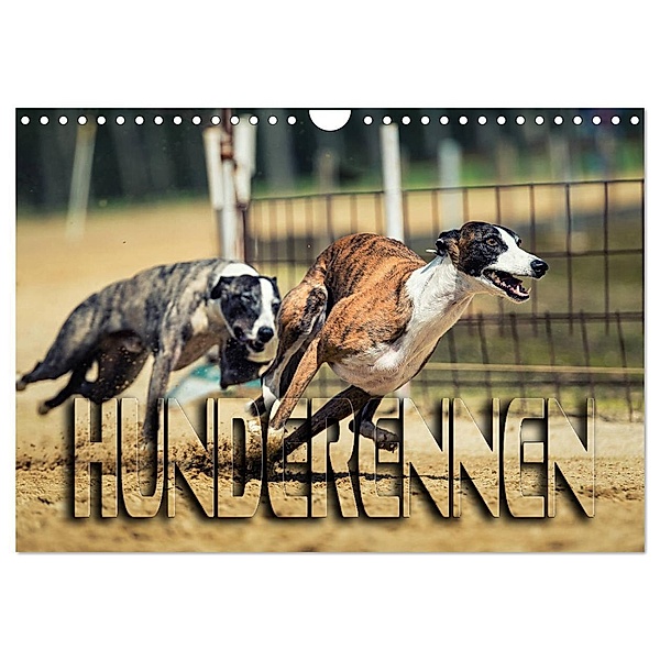 Hunderennen (Wandkalender 2024 DIN A4 quer), CALVENDO Monatskalender, Renate Bleicher