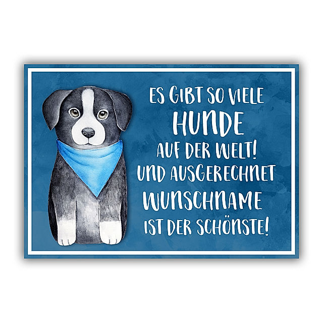 Hundeschild mit Namen, DIN A5 Motiv: Der Schönste | Weltbild.ch