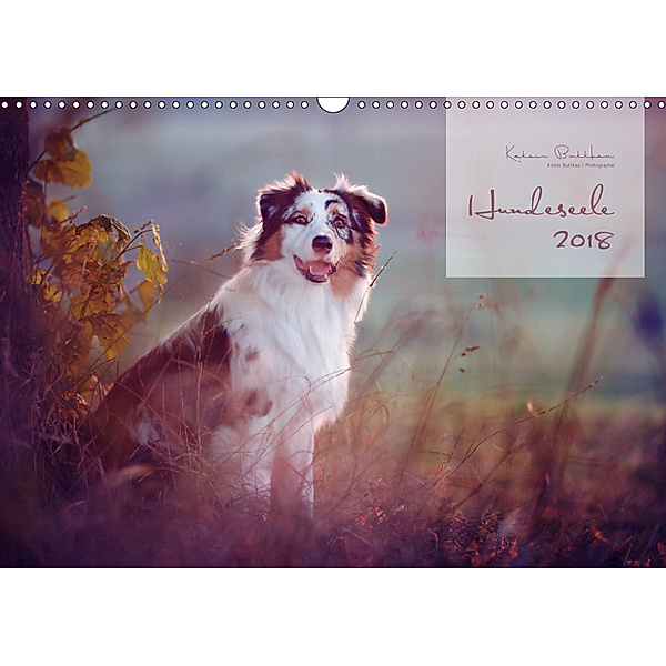 Hundeseele (Wandkalender 2019 DIN A3 quer), Katrin Buttkau