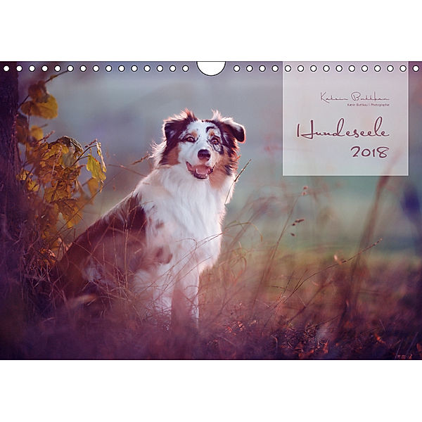 Hundeseele (Wandkalender 2019 DIN A4 quer), Katrin Buttkau