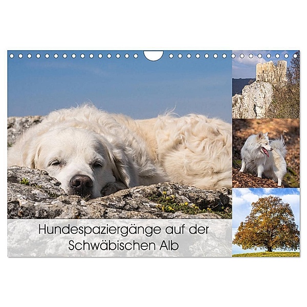 Hundespaziergänge auf der Schwäbischen Alb (Wandkalender 2024 DIN A4 quer), CALVENDO Monatskalender, Monika Scheurer