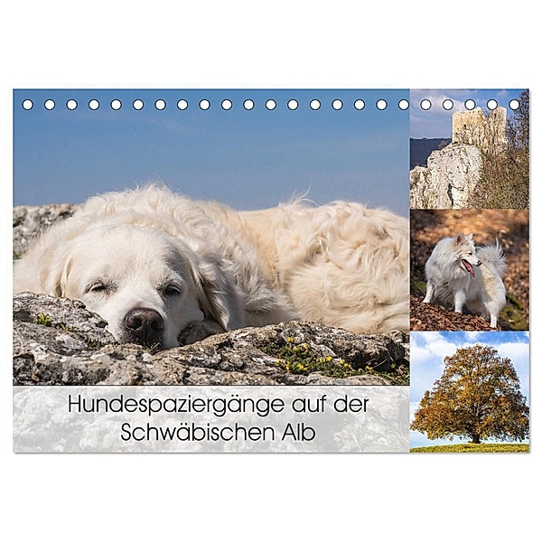 Hundespaziergänge auf der Schwäbischen Alb (Tischkalender 2024 DIN A5 quer), CALVENDO Monatskalender, Monika Scheurer