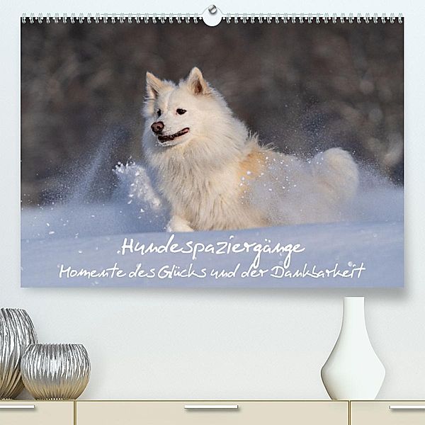 Hundespaziergänge - Momente des Glücks und der Dankbarkeit (Premium, hochwertiger DIN A2 Wandkalender 2023, Kunstdruck i, Monika Scheurer