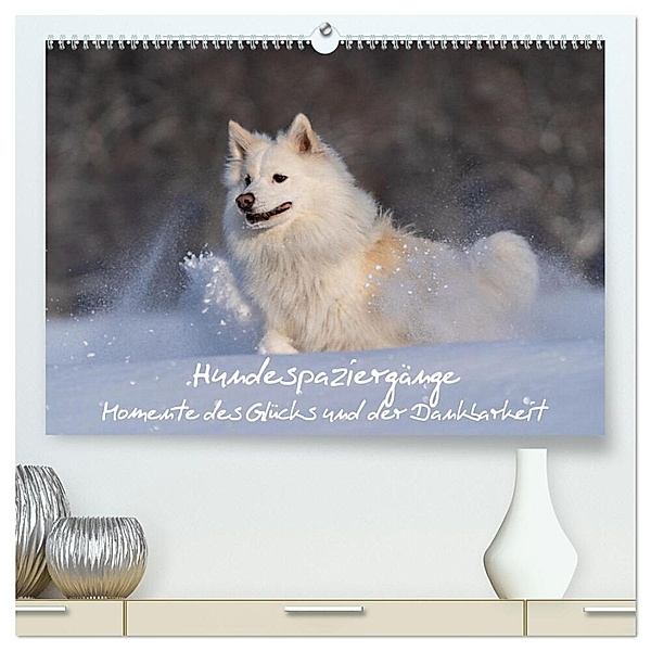Hundespaziergänge - Momente des Glücks und der Dankbarkeit (hochwertiger Premium Wandkalender 2024 DIN A2 quer), Kunstdruck in Hochglanz, Monika Scheurer