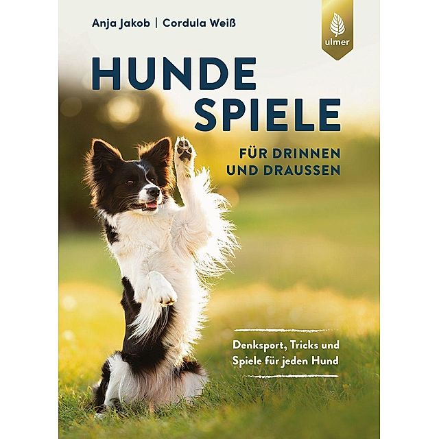 Hundespiele für drinnen und draußen Buch versandkostenfrei - Weltbild.de