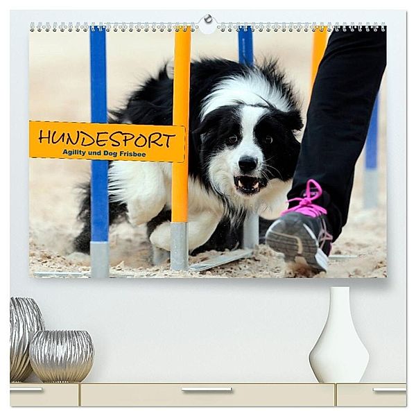 HUNDESPORT - Agility und Dog Frisbee (hochwertiger Premium Wandkalender 2024 DIN A2 quer), Kunstdruck in Hochglanz, Constanze Rähse