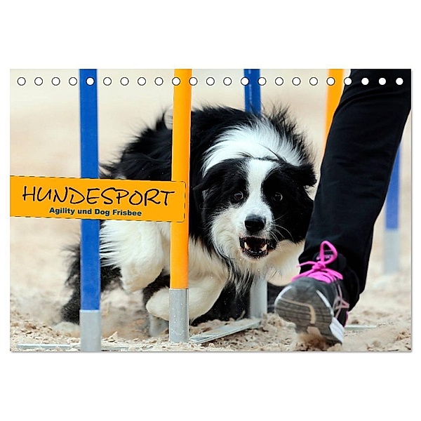 HUNDESPORT - Agility und Dog Frisbee (Tischkalender 2024 DIN A5 quer), CALVENDO Monatskalender, Constanze Rähse
