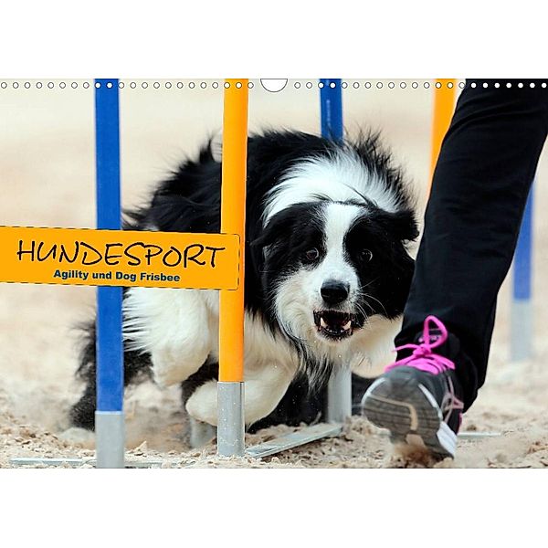 HUNDESPORT - Agility und Dog Frisbee (Wandkalender 2023 DIN A3 quer), Constanze Rähse