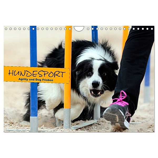 HUNDESPORT - Agility und Dog Frisbee (Wandkalender 2024 DIN A4 quer), CALVENDO Monatskalender, Constanze Rähse