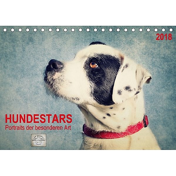 Hundestars - Portraits der besonderen Art (Tischkalender 2018 DIN A5 quer), Angela Dölling