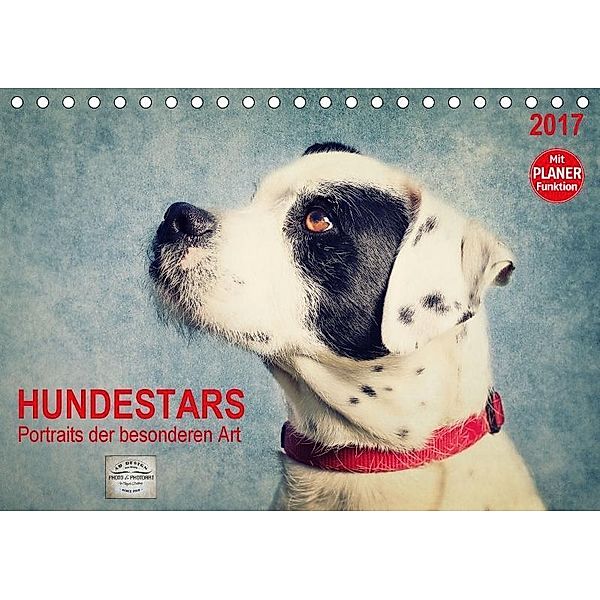 Hundestars - Portraits der besonderen Art (Tischkalender 2017 DIN A5 quer), Angela Dölling