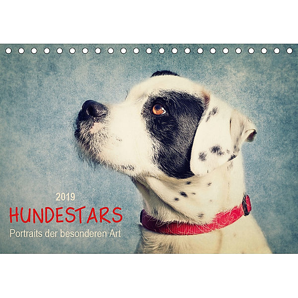 Hundestars - Portraits der besonderen Art (Tischkalender 2019 DIN A5 quer), Angela Dölling