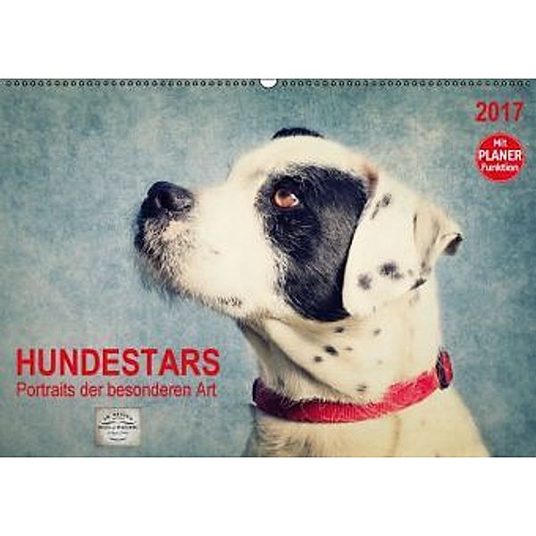 Hundestars - Portraits der besonderen Art (Wandkalender 2017 DIN A2 quer), Angela Dölling