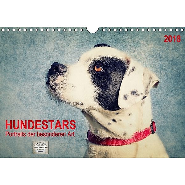 Hundestars - Portraits der besonderen Art (Wandkalender 2018 DIN A4 quer), Angela Dölling