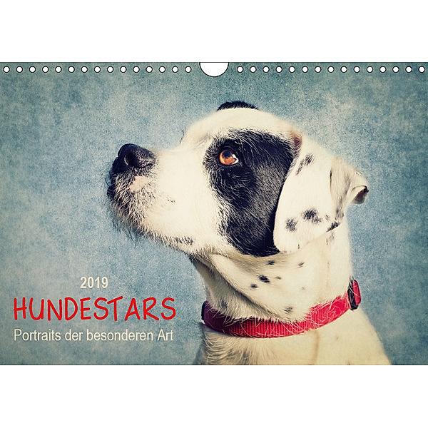 Hundestars - Portraits der besonderen Art (Wandkalender 2019 DIN A4 quer), Angela Dölling