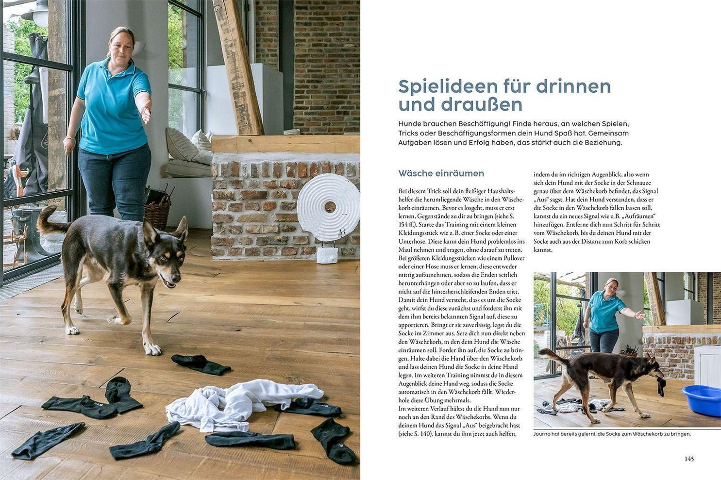 Hundetraining mit Martin Rütter Buch versandkostenfrei bei Weltbild.ch