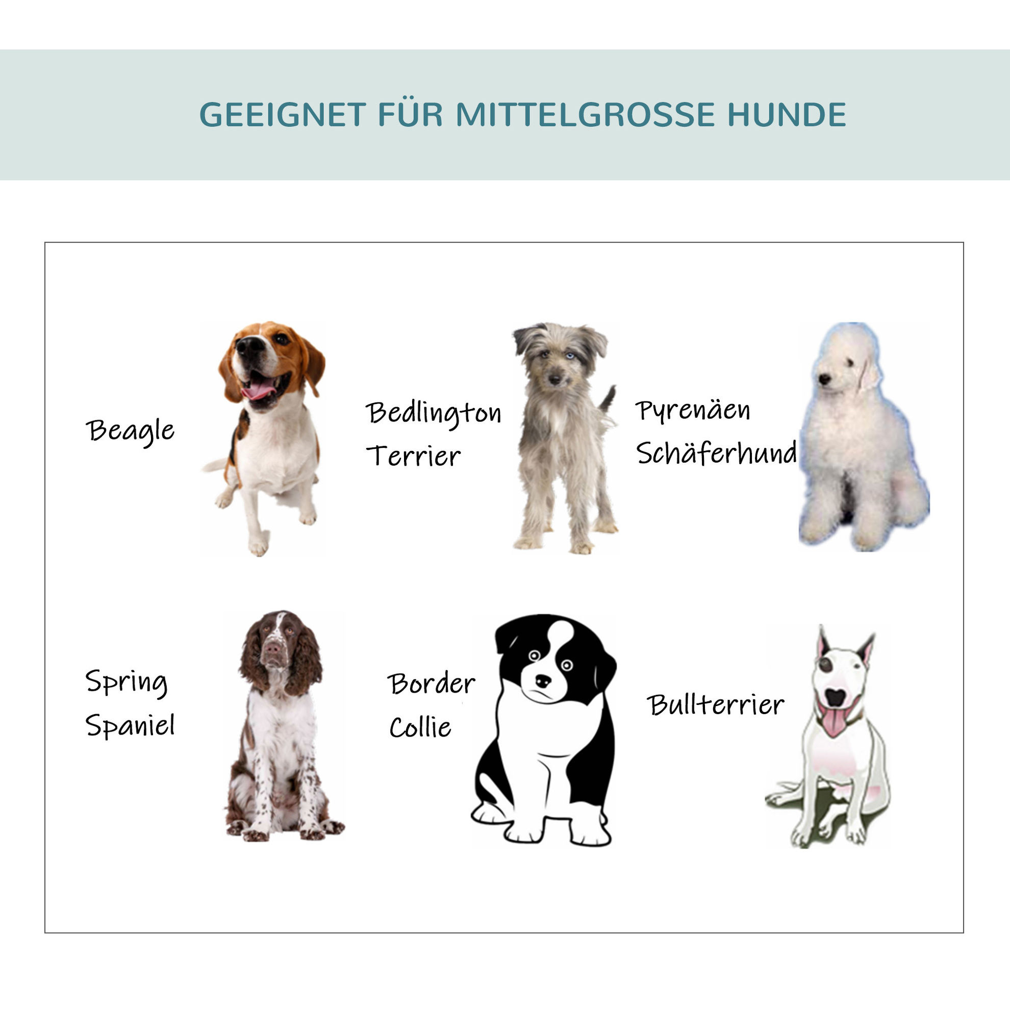 Hundetransportbox in Größe L Farbe: dunkelgrau, creme | Weltbild.de