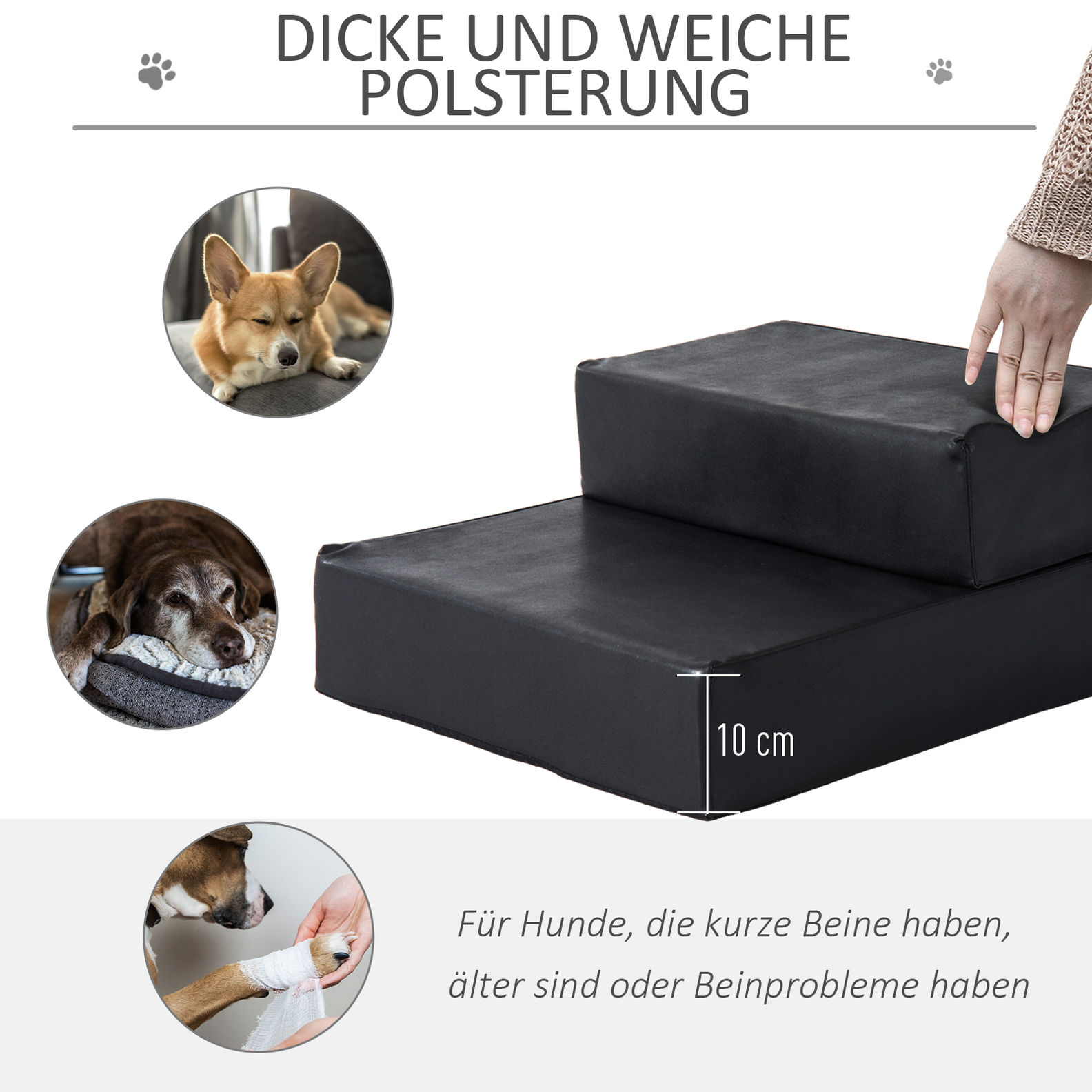 Hundetreppe klappbar Farbe: schwarz bestellen