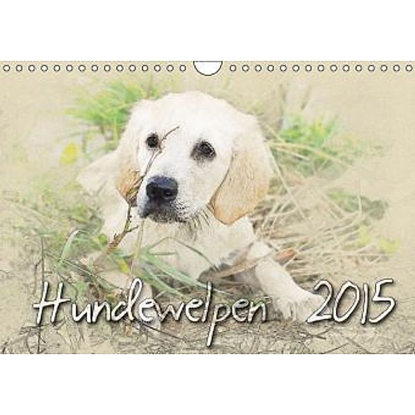 Hundewelpen 2015 (Wandkalender 2015 DIN A4 quer), Andrea Redecker