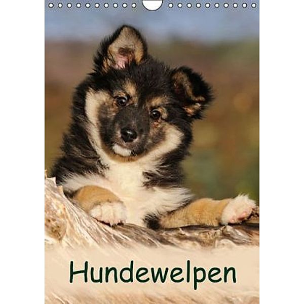 Hundewelpen (Wandkalender 2014 DIN A4 hoch), Katho Menden