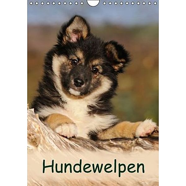Hundewelpen (Wandkalender 2016 DIN A4 hoch), Katho Menden