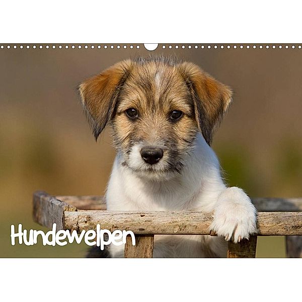 Hundewelpen (Wandkalender 2023 DIN A3 quer), Anna Auerbach