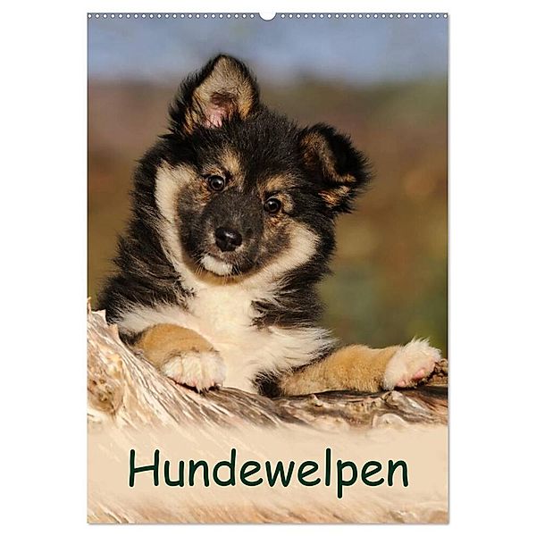 Hundewelpen (Wandkalender 2024 DIN A2 hoch), CALVENDO Monatskalender, Katho Menden