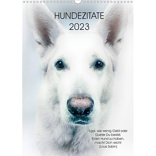 Hundezitate 2023 (Wandkalender 2023 DIN A3 hoch), Dogmoves