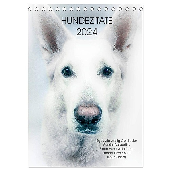 Hundezitate 2024 (Tischkalender 2024 DIN A5 hoch), CALVENDO Monatskalender, Dogmoves