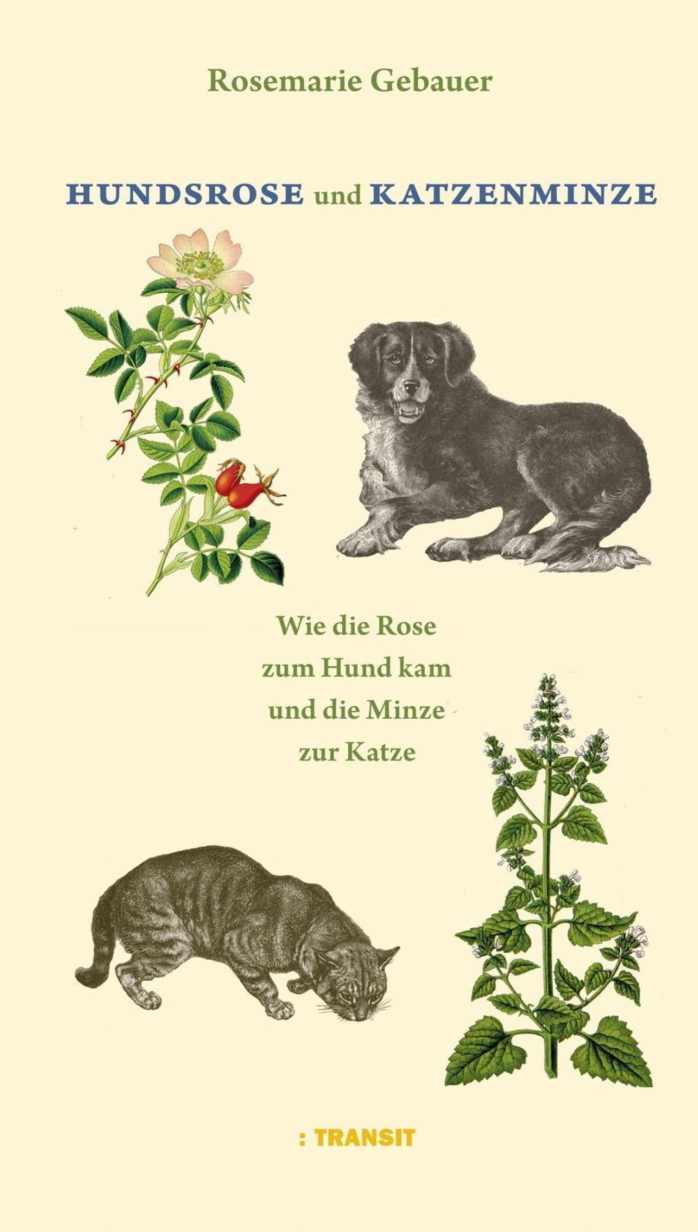 Hundsrose und Katzenminze Buch versandkostenfrei bei Weltbild.de