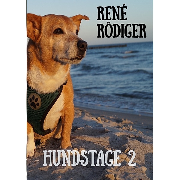Hundstage 2, René Rödiger
