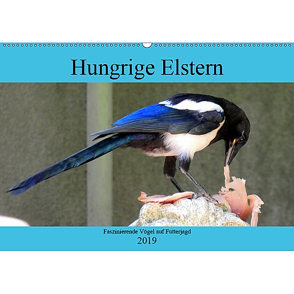 Hungrige Elstern - Faszinierende Vögel auf Futterjagd (Wandkalender 2019 DIN A2 quer), Henning von Löwis of Menar