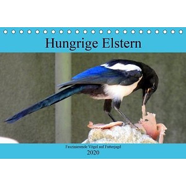 Hungrige Elstern - Faszinierende Vögel auf Futterjagd (Tischkalender 2020 DIN A5 quer), Henning von Löwis of Menar