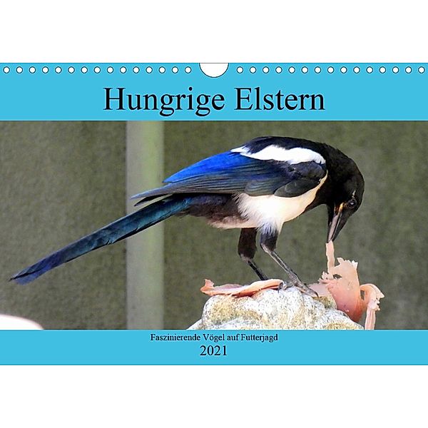 Hungrige Elstern - Faszinierende Vögel auf Futterjagd (Wandkalender 2021 DIN A4 quer), Henning von Löwis of Menar, Henning von Löwis of Menar