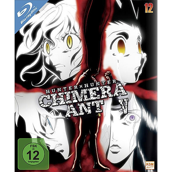 HUNTERxHUNTER - Volume 12