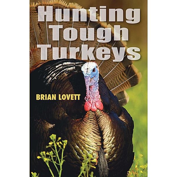 Hunting Tough Turkeys, Brian Lovett