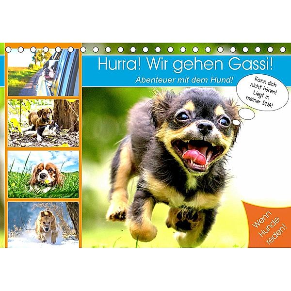 Hurra! Wir gehen Gassi! Abenteuer mit dem Hund! (Tischkalender 2020 DIN A5 quer), Rose Hurley