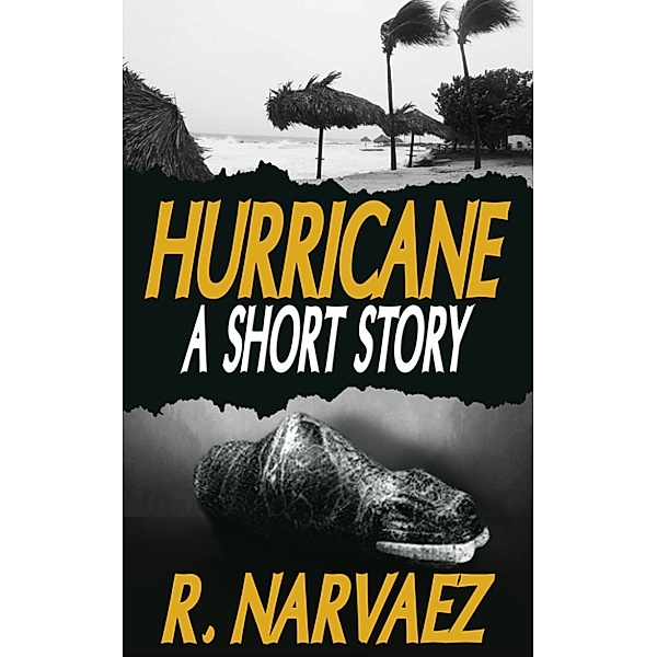 Hurricane: A Short Story, R. Narvaez