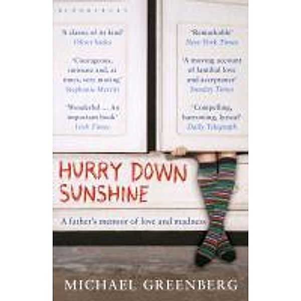 Hurry Down Sunshine, Michael Greenberg