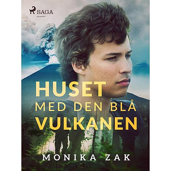 Huset med den blå vulkanen, Monica Zak