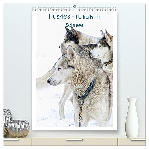 Huskies - Portraits im Schnee (hochwertiger Premium Wandkalender 2024 DIN A2 hoch), Kunstdruck in Hochglanz, Liselotte Brunner Klaus