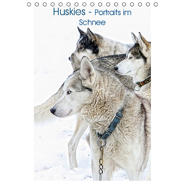 Huskies - Portraits im Schnee (Tischkalender 2019 DIN A5 hoch), Liselotte Brunner Klaus