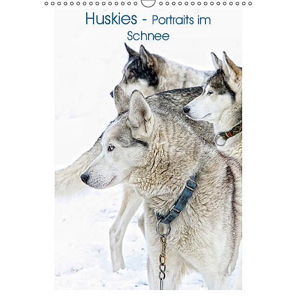 Huskies - Portraits im Schnee (Wandkalender 2019 DIN A3 hoch), Liselotte Brunner Klaus