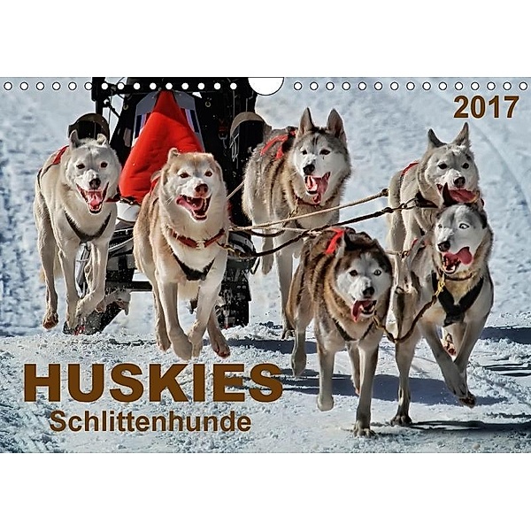 Huskies - Schlittenhunde (Wandkalender 2017 DIN A4 quer), Peter Roder